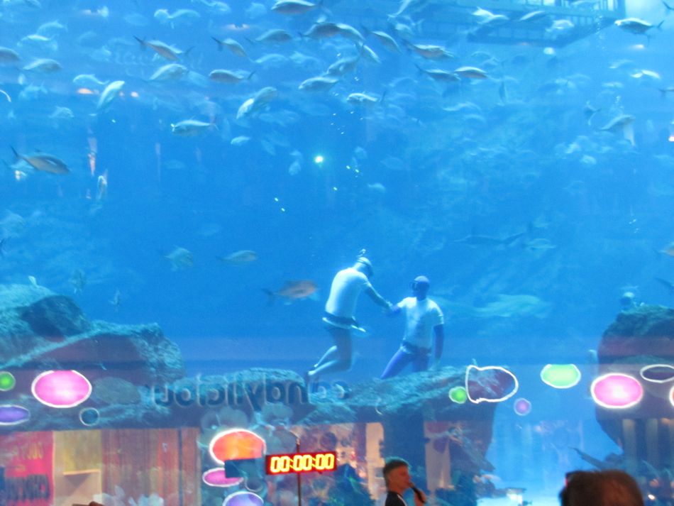 Free Divers at the Dubai Aquarium
