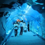 Underwater Tunnel