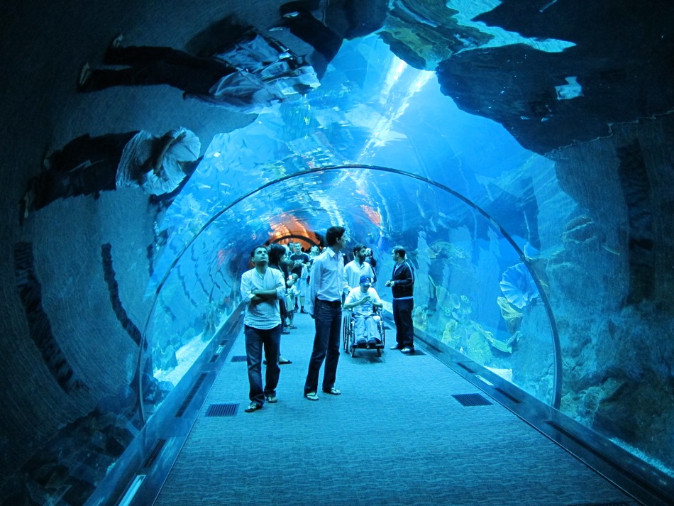 Underwater Tunnel