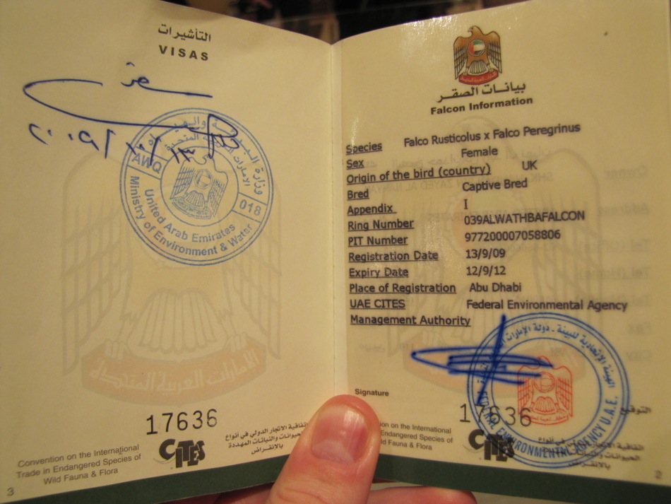 Falcon Passport