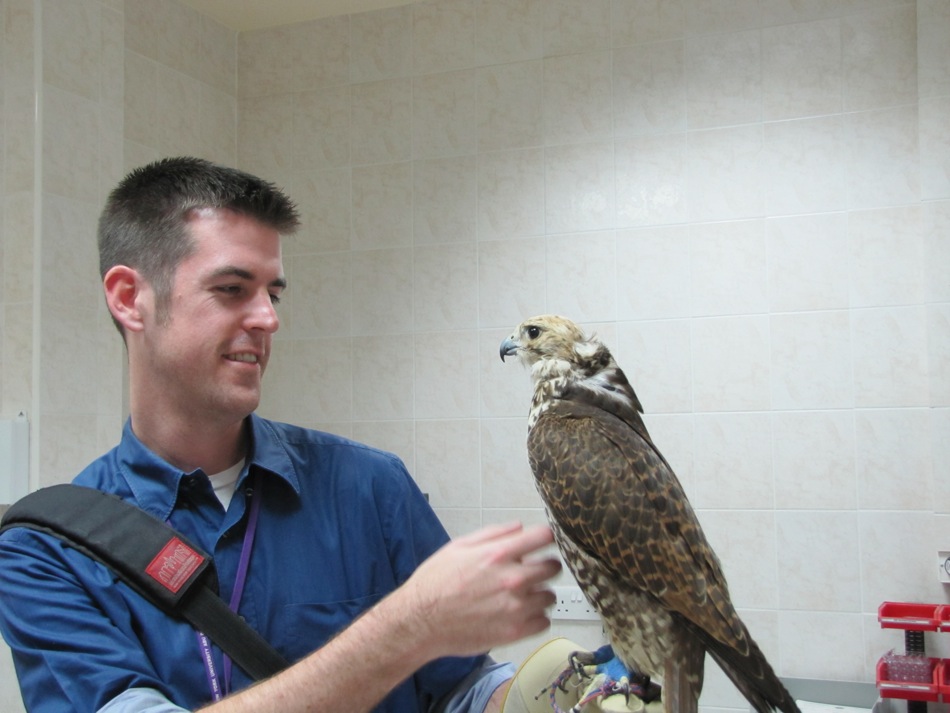 Vic Holds a Falcon
