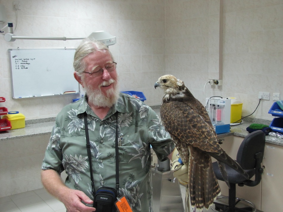 Don Hold a Falcon