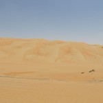 Liwa Dunes
