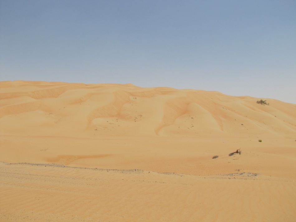 Liwa Dunes