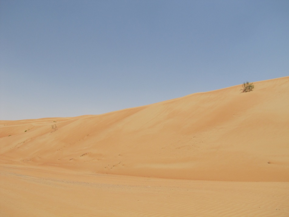 Liwa Dunes