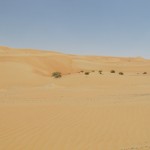 Liwa Dunes