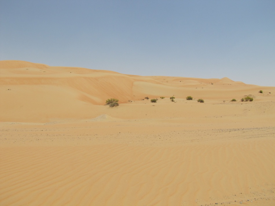 Liwa Dunes