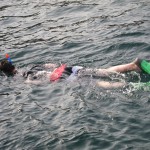 Vic Snorkeling