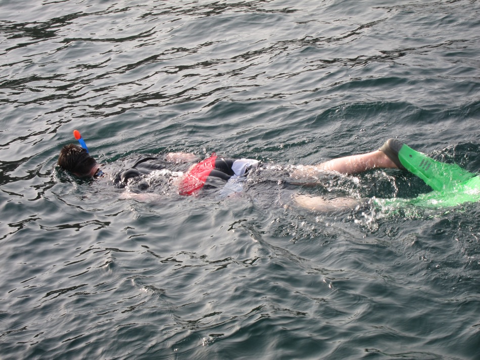 Vic Snorkeling