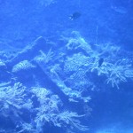 Wreck and Reef