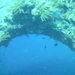Wreck and Reef