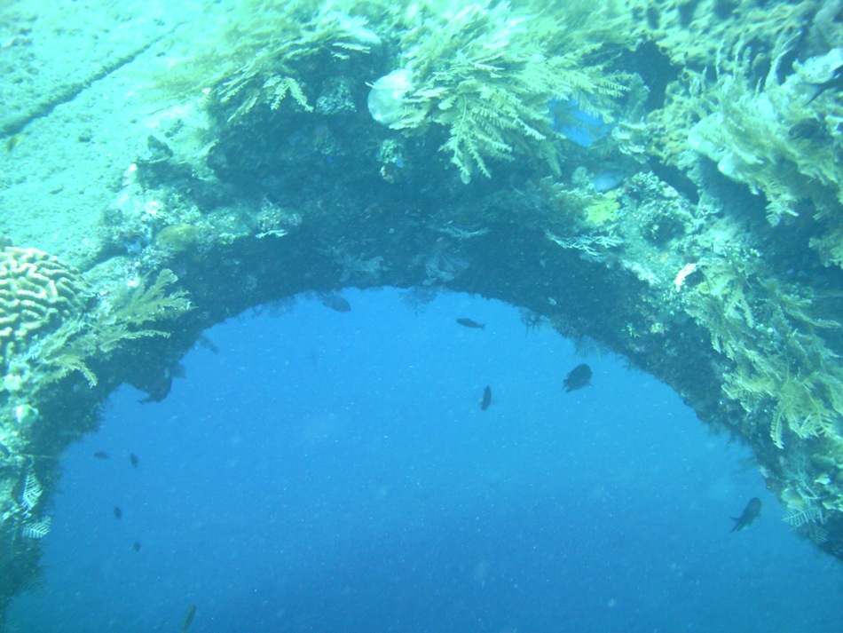 Wreck and Reef