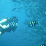 Thomas and Fish