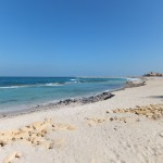 The Beach at Sir Bani Yas