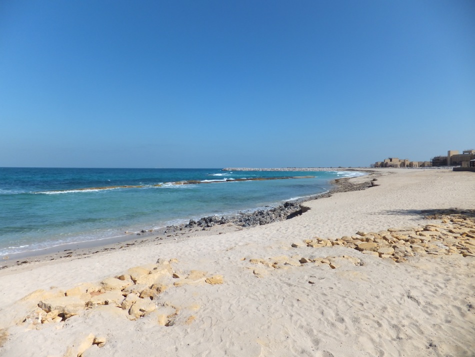 The Beach at Sir Bani Yas