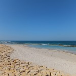 The Beach at Sir Bani Yas