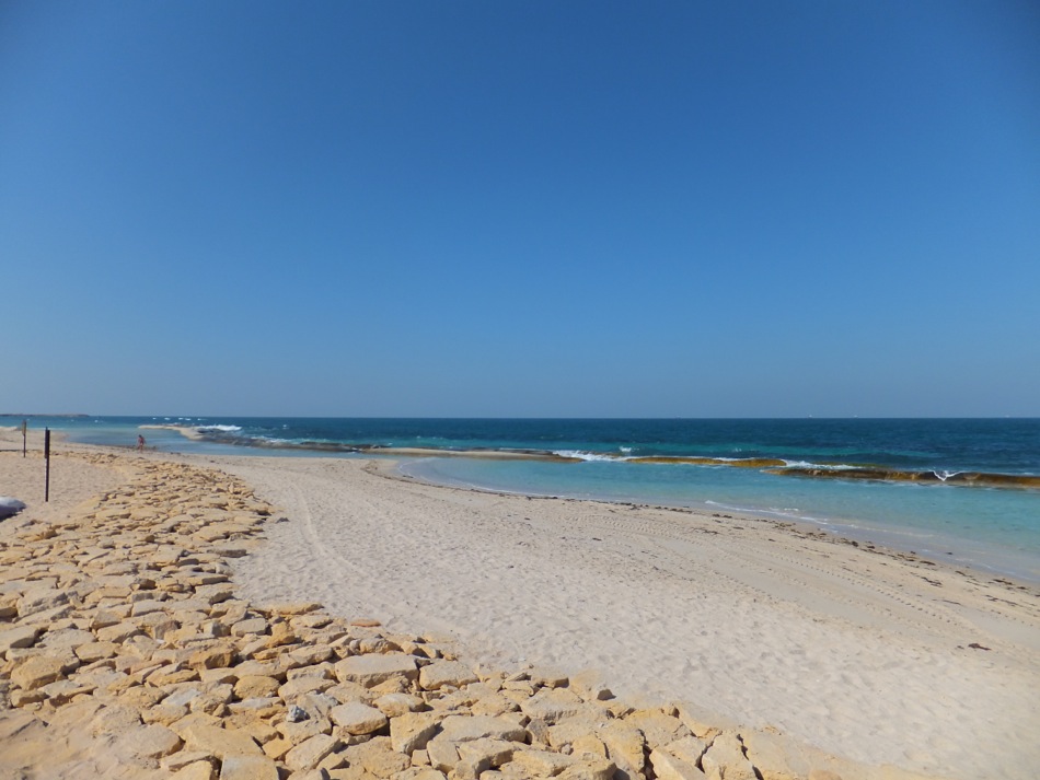 The Beach at Sir Bani Yas