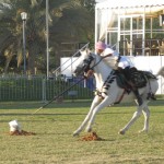 Emirati Spear-Hunting