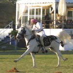 Emirati Spear-Hunting