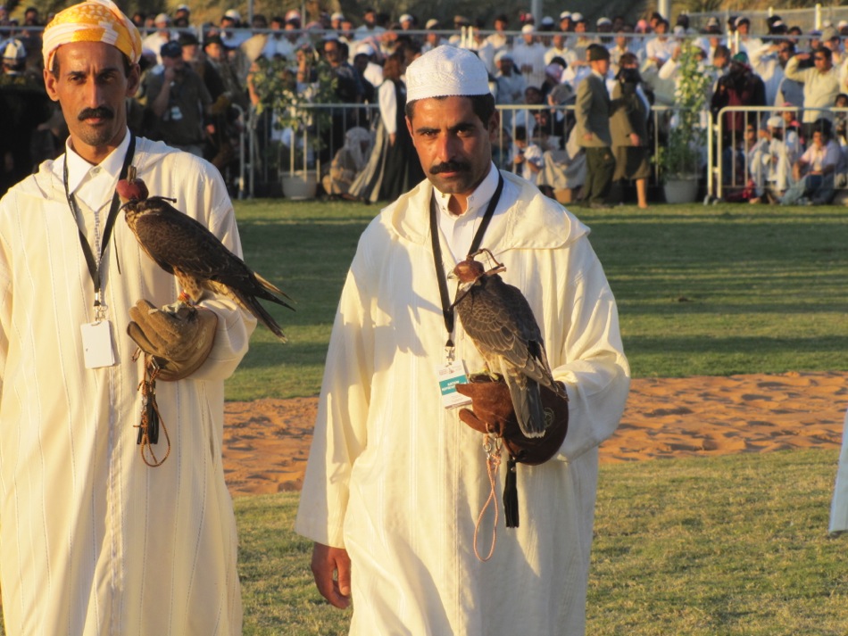 Tunisian Falconers