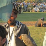 Pakistani Falconer