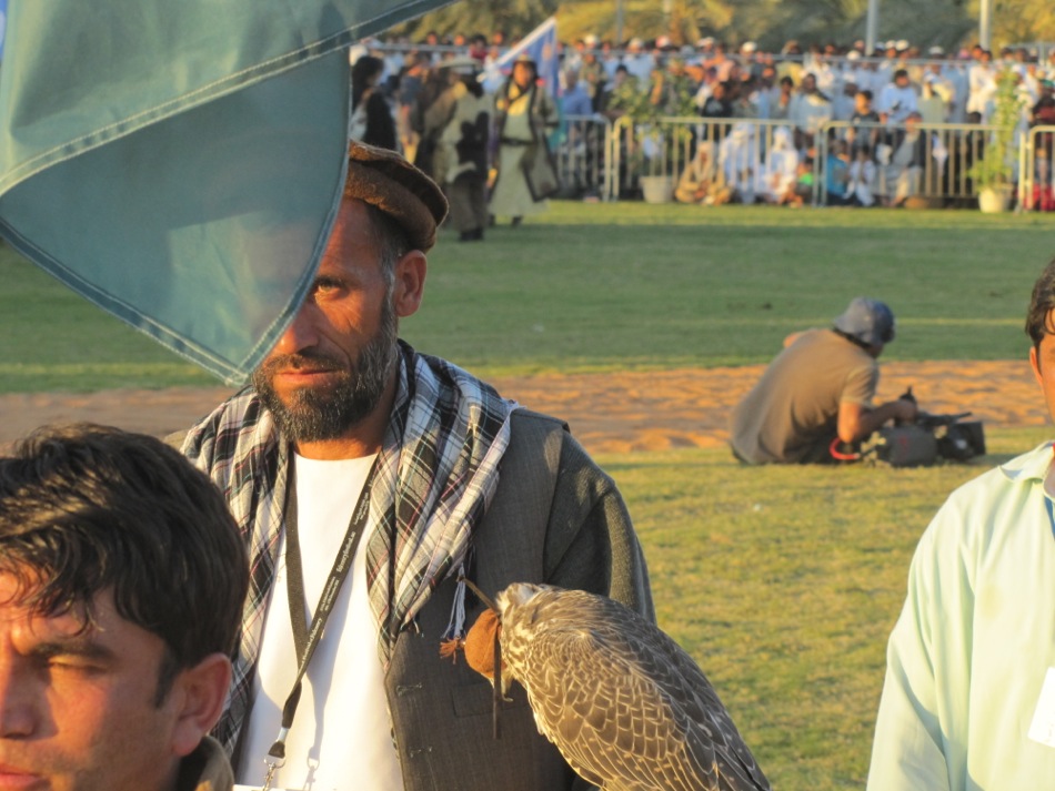 Pakistani Falconer