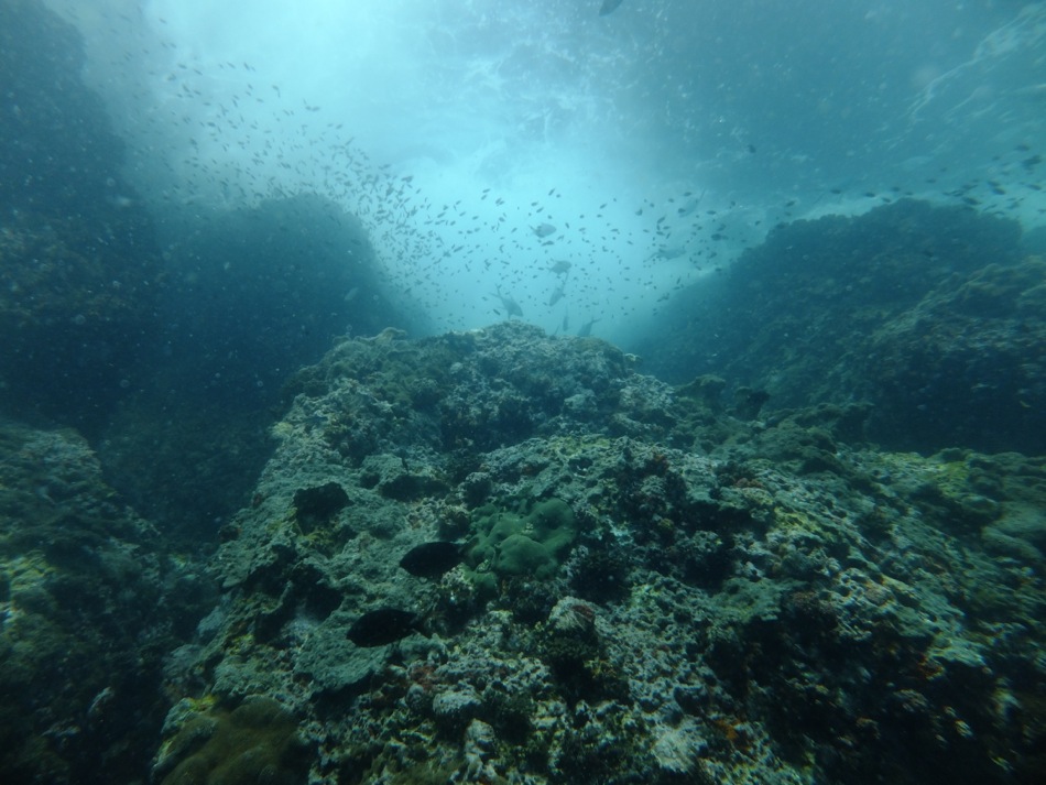 Looking Up at Sail Rock