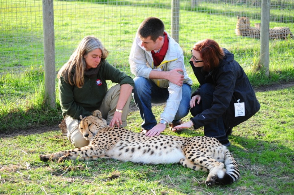 Vic and Beth with a Cheetah