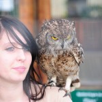 Owl on a Lady's Shoulder