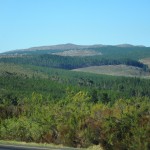 Driving the Garden Route