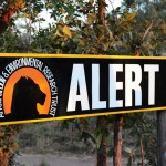 Lion Walk at the African Lion & Environmental Research Trust