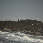 Seal Island
