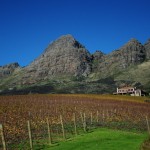Uva Mira's Wine Estate
