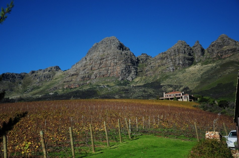 Uva Mira's Wine Estate