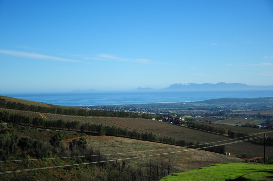 Stellenbosch Valley from Uva Mira