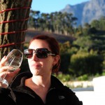A Day in the Stellenbosch Wine Country