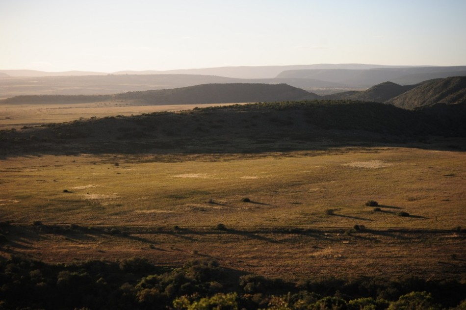 Shamwari - GD1 - Shamwari Private Reserve