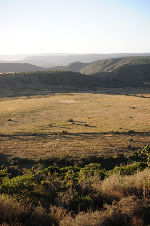 Shamwari - GD1 - Shamwari Private Reserve