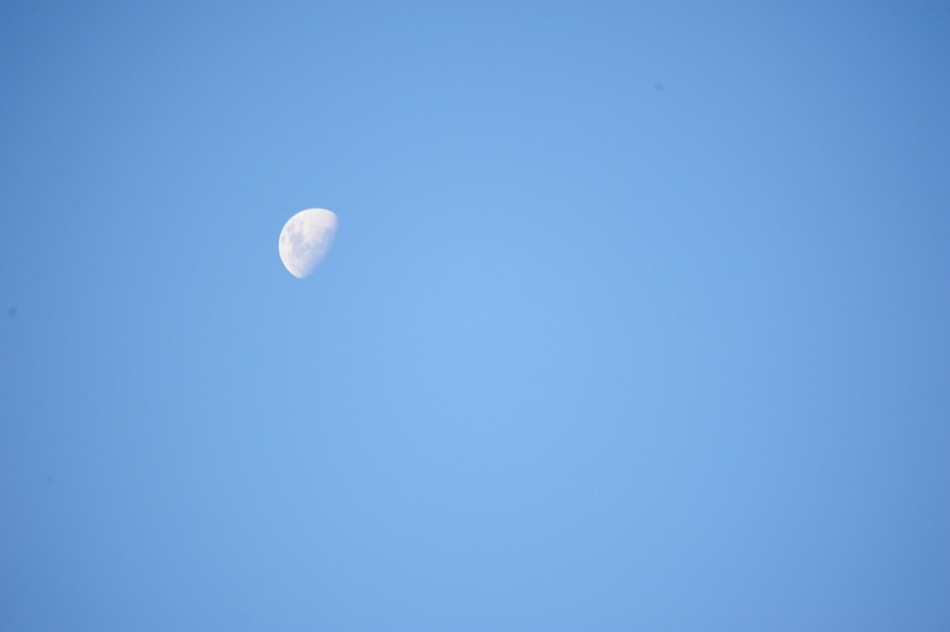 Shamwari - GD1 - Moon Over Shamwari