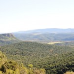 Shamwari - GD2 - Shamwari Private Reserve