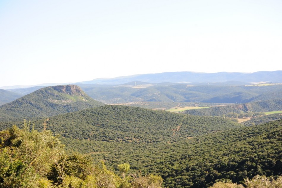 Shamwari - GD2 - Shamwari Private Reserve