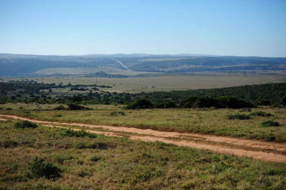 Shamwari - GD6 - Shamwari Private Reserve
